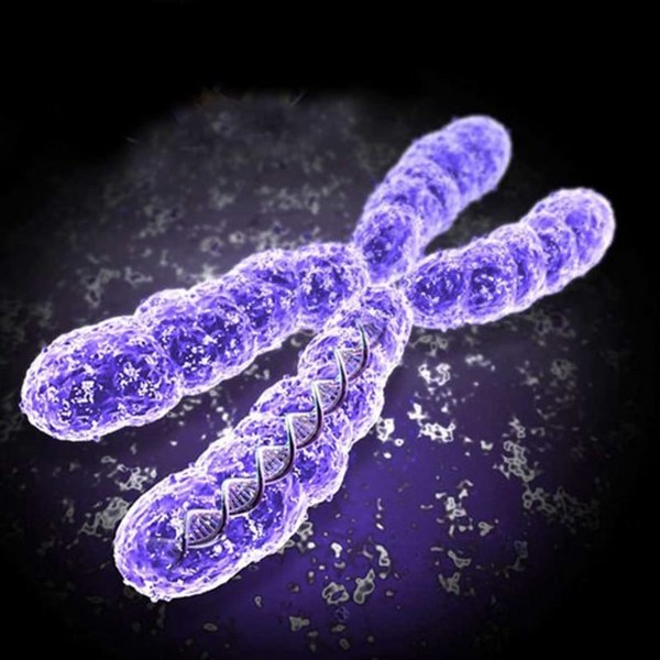 İnsan vücuduyla ilgili bilinmeyen gerçekler A24