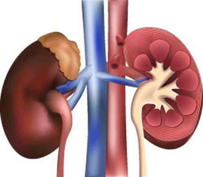 İnsan vücuduyla ilgili bilinmeyen gerçekler A24