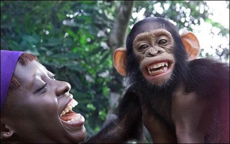 İnsan vücuduyla ilgili bilinmeyen gerçekler A24