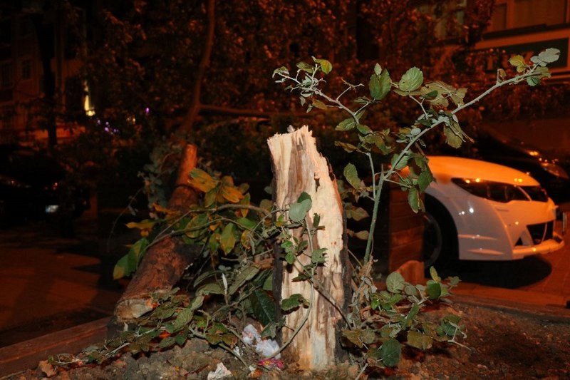 İstanbul'da gökyüzünü kara bulutlar kapladı A24