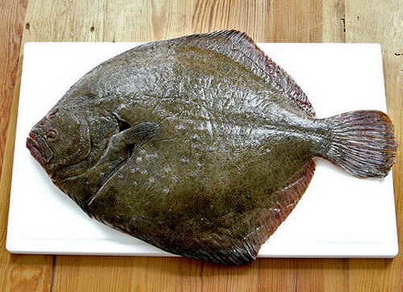 İşte en besleyici yiyecek hangisi sorusunun yanıtı A24