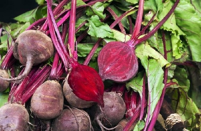 İşte en besleyici yiyecek hangisi sorusunun yanıtı A24