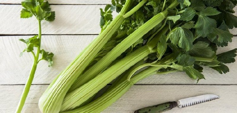 İşte en besleyici yiyecek hangisi sorusunun yanıtı A24