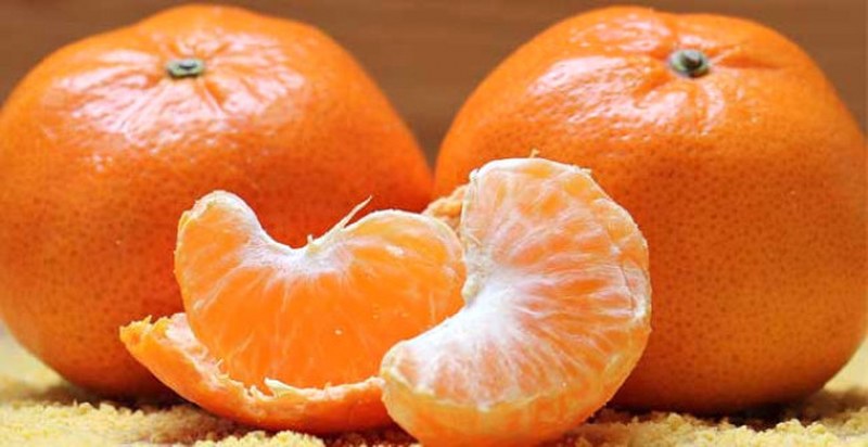 İşte en besleyici yiyecek hangisi sorusunun yanıtı A24