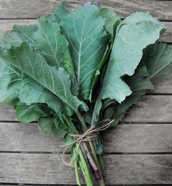 İşte en besleyici yiyecek hangisi sorusunun yanıtı A24