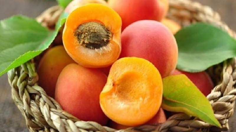 İşte en besleyici yiyecek hangisi sorusunun yanıtı A24