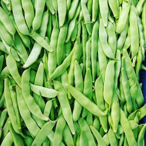 İşte en besleyici yiyecek hangisi sorusunun yanıtı A24