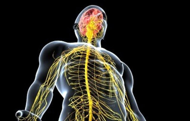 Sürekli üşümenin sebebi nedir? A24