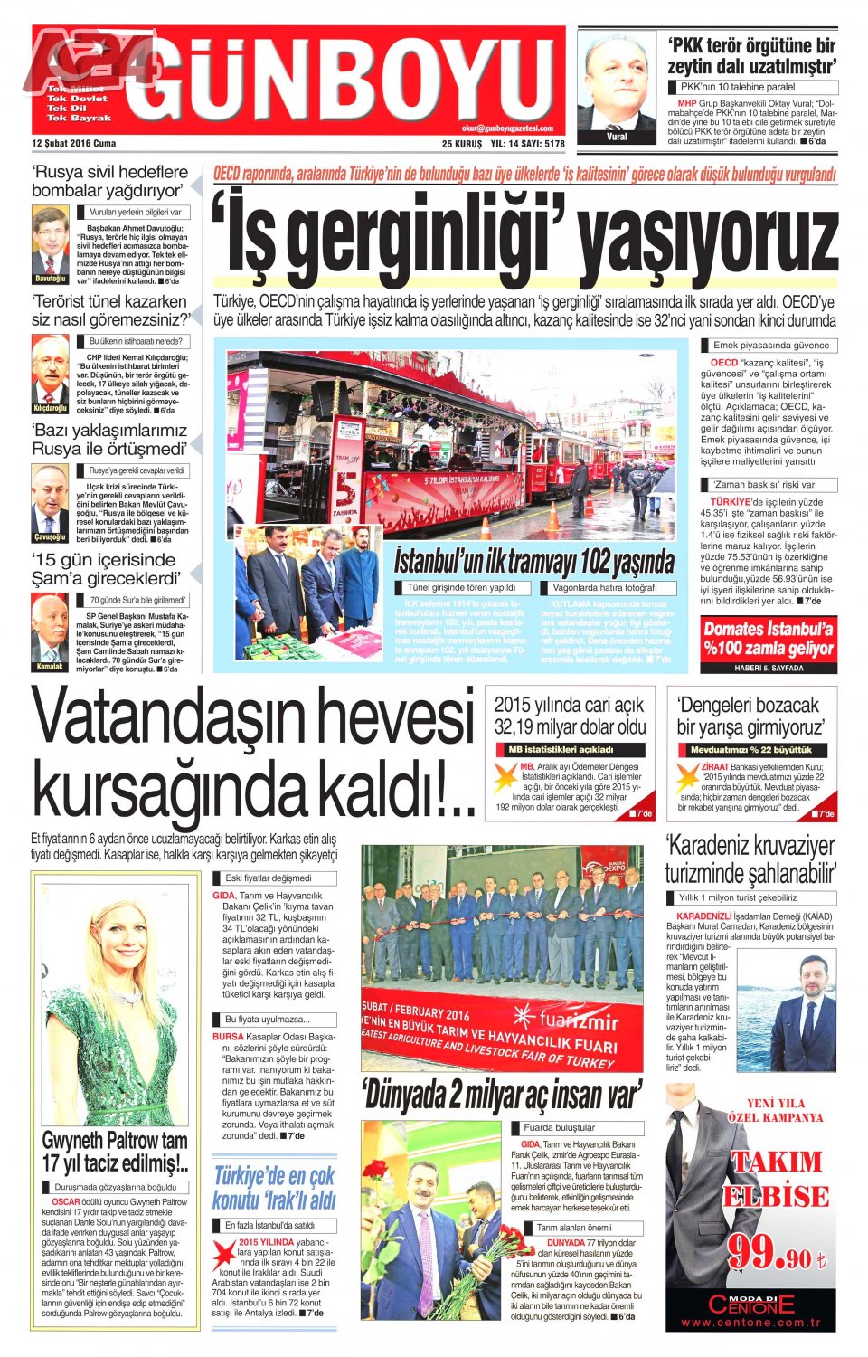 Günboyu