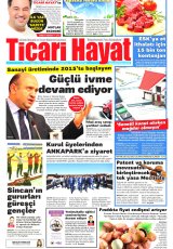 Ticari Hayat Gazetesi
