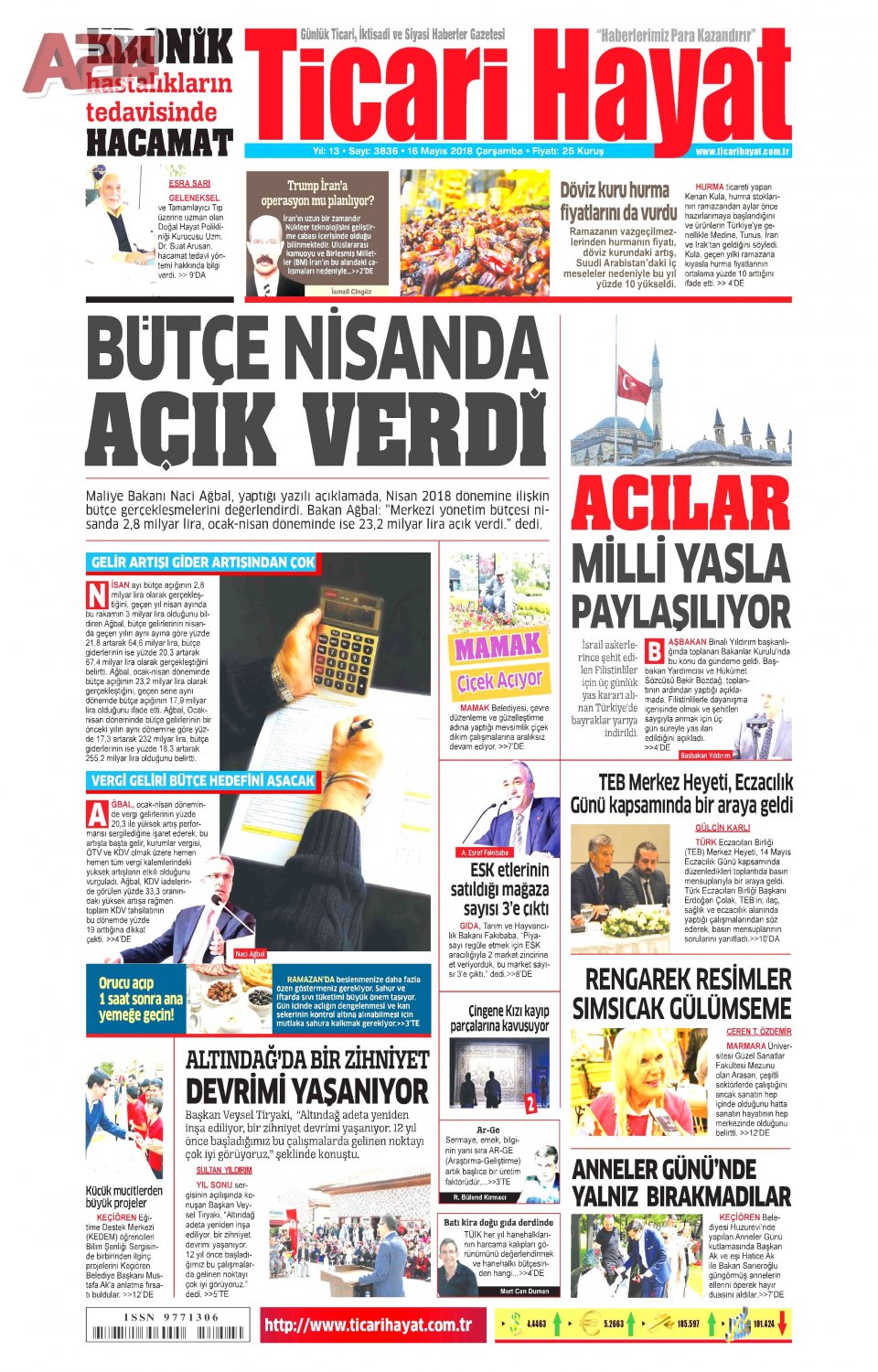 Ticari Hayat